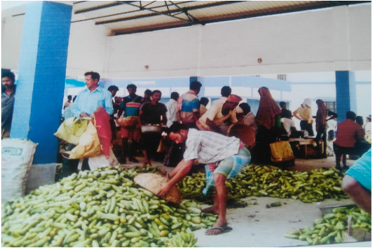 Open Market Shed,Principal Market Yard of erstwhile Kalna RMC Krishak Bazar